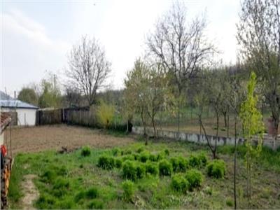 Casa Bătrânească Osoi, 1000mp teren  55.000 euro